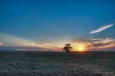 20120621_DSC4166_HDR.jpg