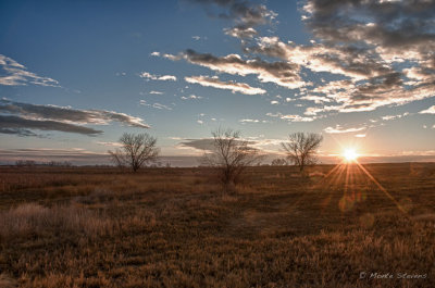 20130127_DSC9290_HDR.jpg