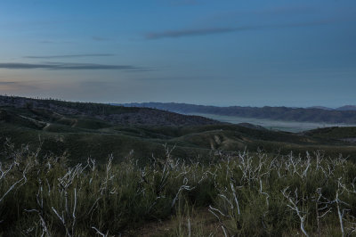 Coastal Range_Cache Creek BLM Lands (2 of 11).jpg