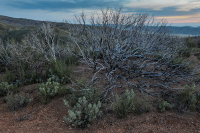 Coastal Range_Cache Creek BLM Lands (4 of 11).jpg