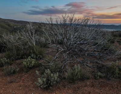 Coastal Range_Cache Creek BLM Lands (6 of 11).jpg