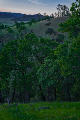 _DSC1207-Edit.jpg