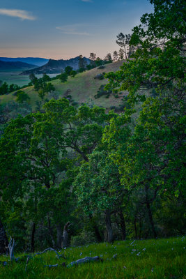 _DSC1210-Edit.jpg