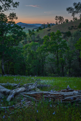 Northern California Coastal Mountains, East Side