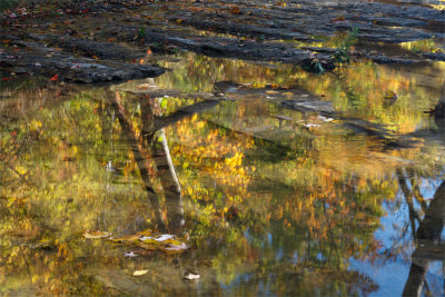 Autumn Reflection.jpg