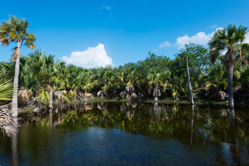 DSC_2921.jpg