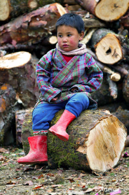 Little lumberjack