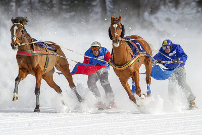 White Turf 2013 