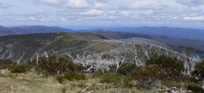 view from Mt Pinnibar