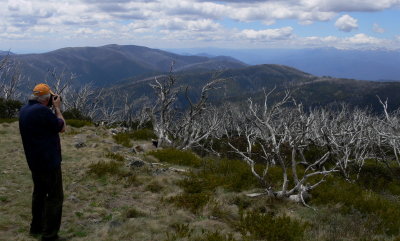 view from Mt Gibbo