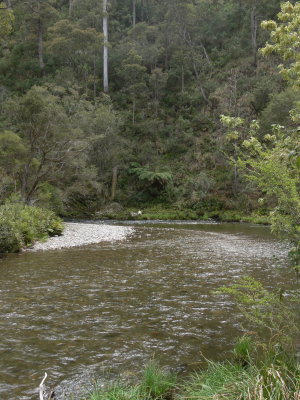Wheelers Creek
