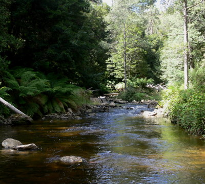 Rubicon River