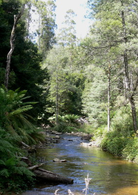 Rubicon River