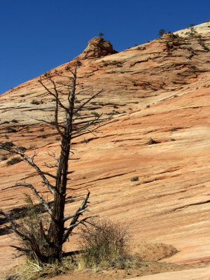 Zion
