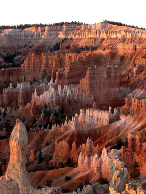 Bryce, of course