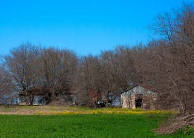 Old homestead.