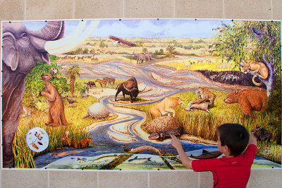 Waco Mammoth Site