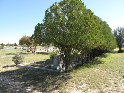 g2/88/637888/3/149387507.x2SO4pLT.jpg