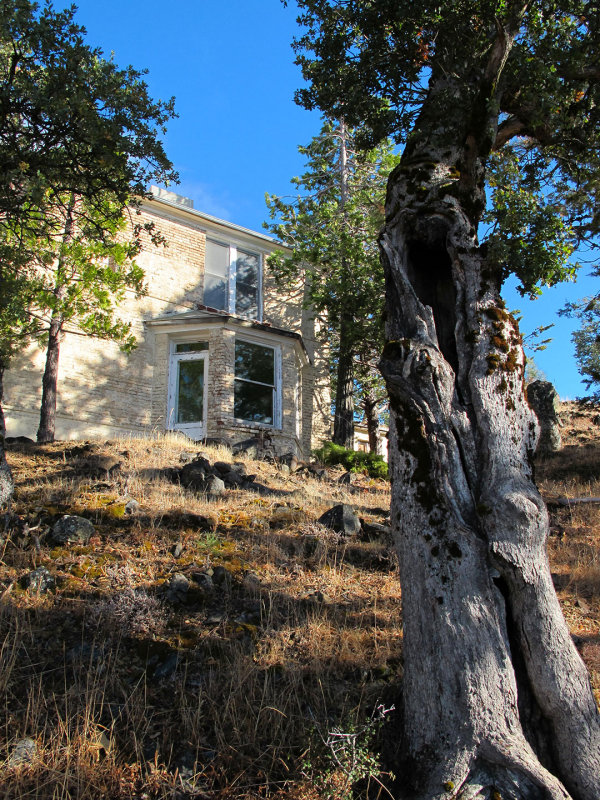 Mount-Hamilton-2012-(47).jpg