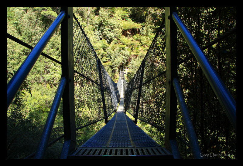 Suspension Bridge