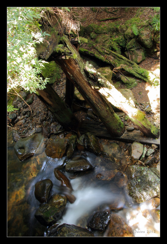 Below The Rail Bridge