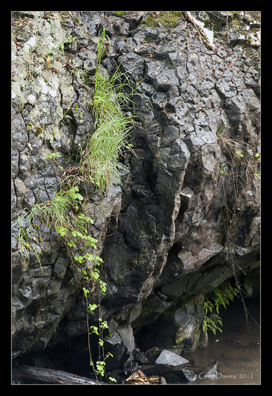 Rock Face #4