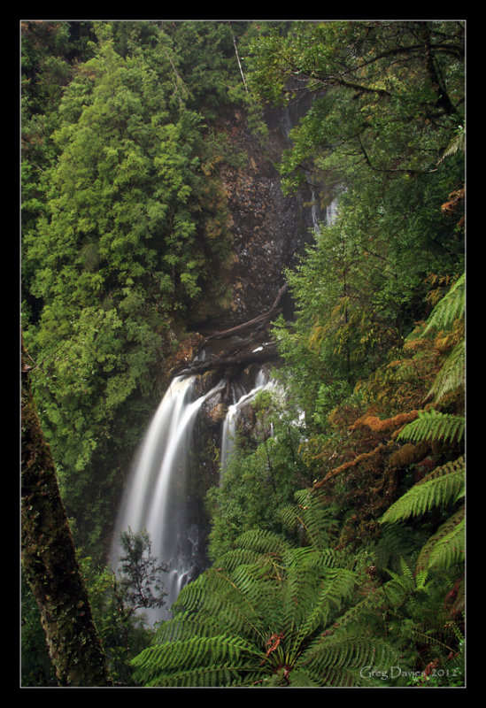 Pholosopher Falls - Portrait Perspective