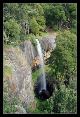 Preston Falls - Tasmania