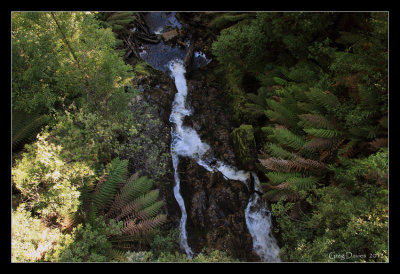 Creek Under Bridge