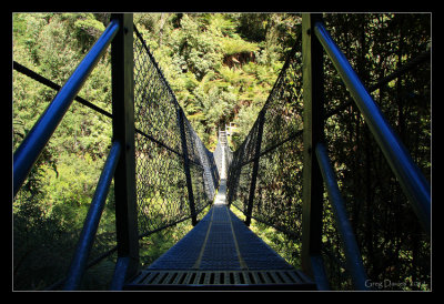 Suspension Bridge