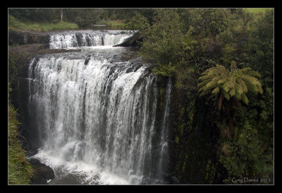 Guide Falls - Tasmania
