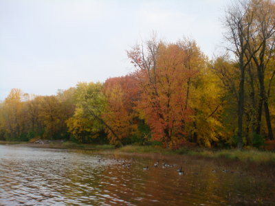 DSC09400.JPG