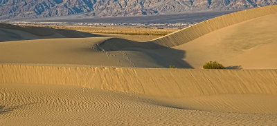 The Dunes, an area that collects sand and looking like the Sahara.