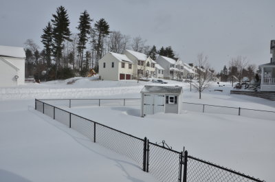 DSC_4172.JPG