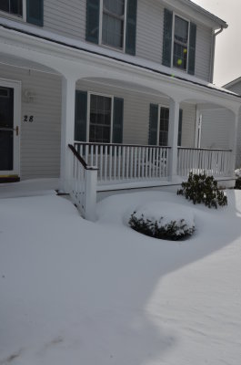 DSC_4175.JPG