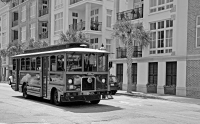 Bus- Charleston  SC  bw.jpg