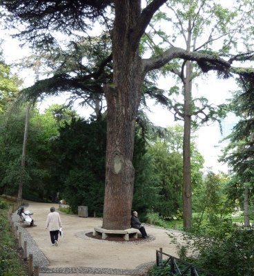 Jardin des Plantes, Paris