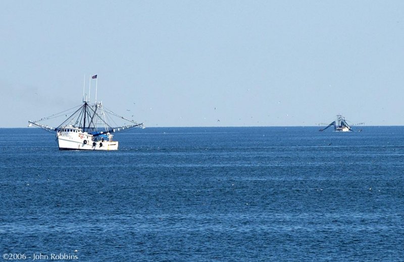 Shrimp Boats