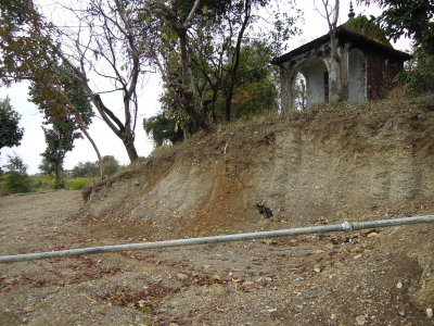 Shows elevation of temple.  