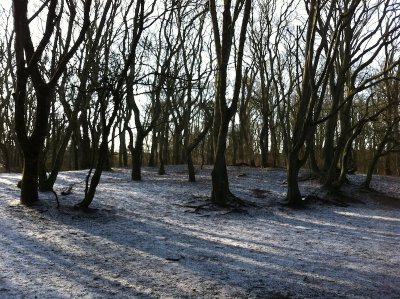 snow again
