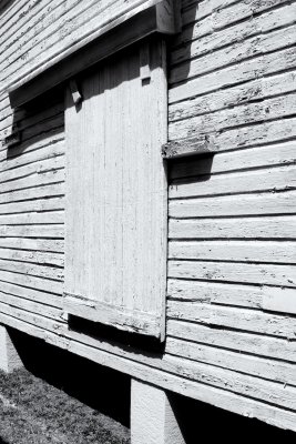 The Door