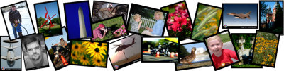 LJ_banner1_white copy.jpg