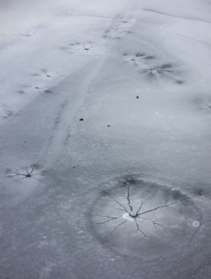 Cracks in the ice
