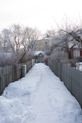 The snowy path