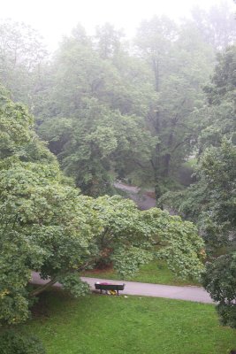 August 27: Sleeping in the park on a foggy morning