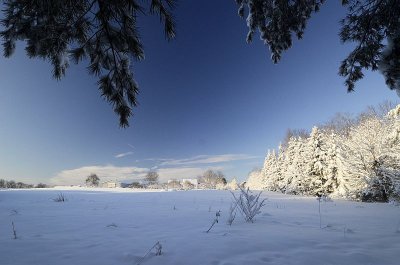 Fresh snow