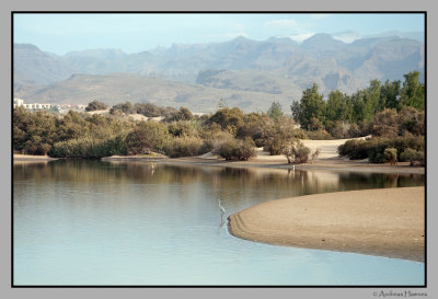 Maspalomas delta