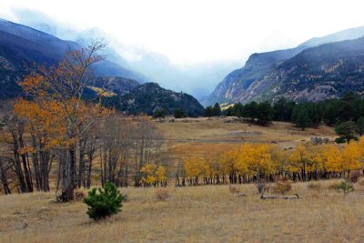 Flat River Valley