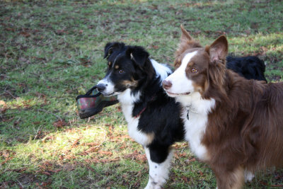 Max & Mia