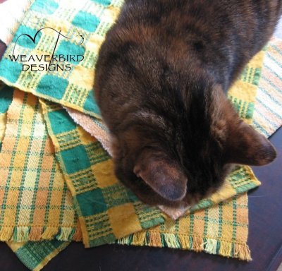 Helpful cat 02